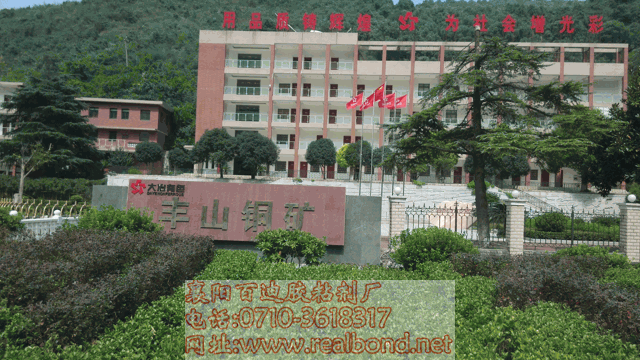 ��ѡ���޸�